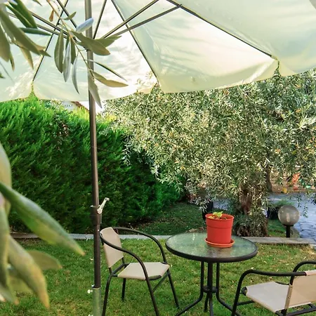 Olive Tree House * Pachis (Thasos)
