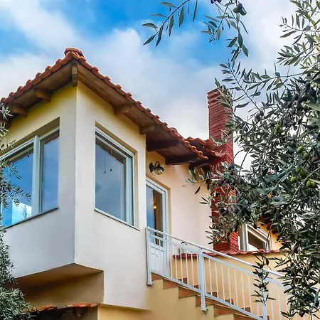 Villa Olive Tree House Pachis (Thasos)