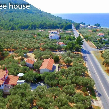 Villa Olive Tree House Pachis (Thasos)