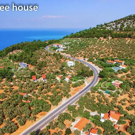 Βίλα Olive Tree House *