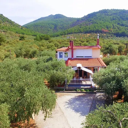 Villa Olive Tree House