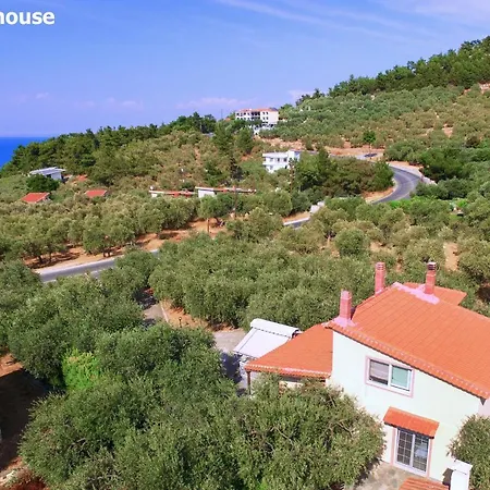 Olive Tree House Βίλα Παχύς
